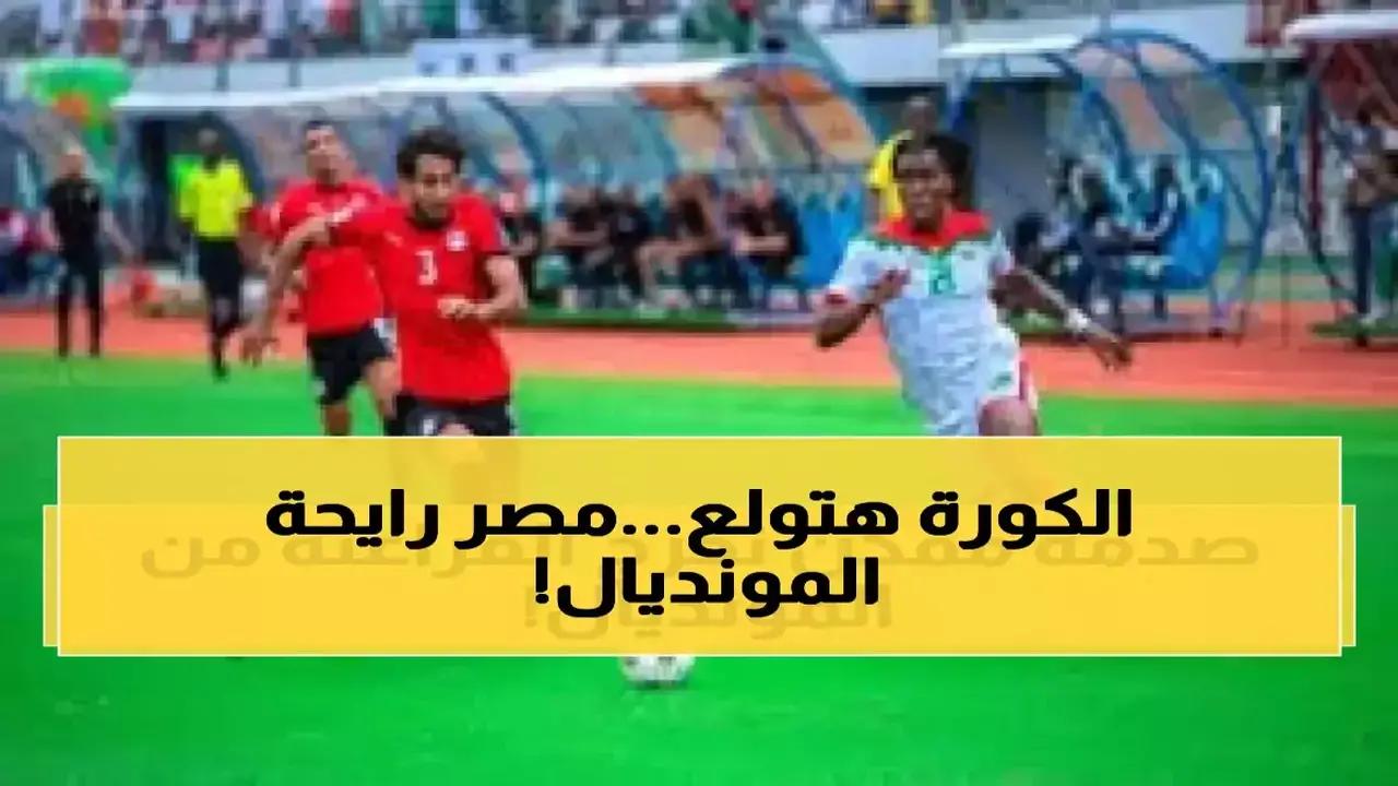 تغيير مفاجئ.. بطاقة ذهبية واحدة تفتح فرص زيادة تمثيل مصر إفريقيا بنسبة 80%